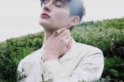 姓氏头像李男生霸气