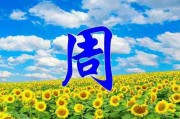 姓氏文字车子图片做头像