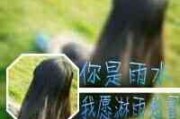 2025年浪漫情侣网名大全｜专属CP名字定制指南