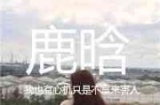 超级霹雳网名大全女生