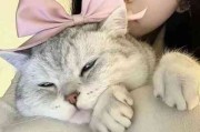 挡泥板情侣网名