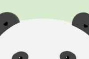 小动物头像可爱卡通图片
