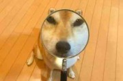 不怎么明显的情侣头像