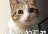 沙雕智障情侣头像 搞笑