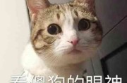 沙雕智障情侣头像 搞笑