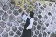 王者专属网名女生