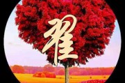 怎么设置有文字的微信头像