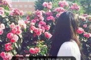 头像图片大全微信女生