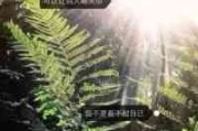 英文中文都有网名