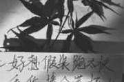 骏马英文网名