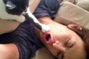 网名男两字带英文