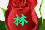 微信头像拍拍设置文字