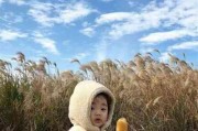 光遇头像情侣