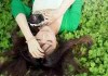 龙姓网名大全女生