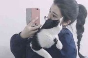 网店网名推荐大全女生