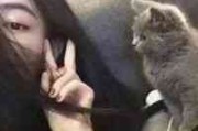 qq简单英文网名