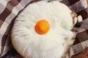 搞笑沙雕情侣头像
