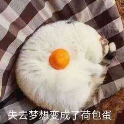 情侣真人头像个性网 第14张