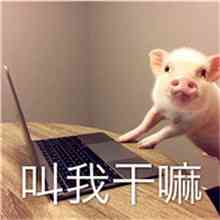 带文字头像的图片 第5张