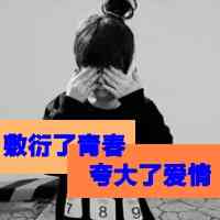 拍拍头像加什么文字好 第7张