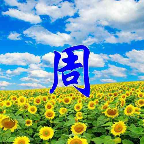 姓氏文字车子图片做头像 第1张