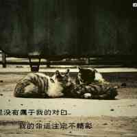 在线文字头像 第7张