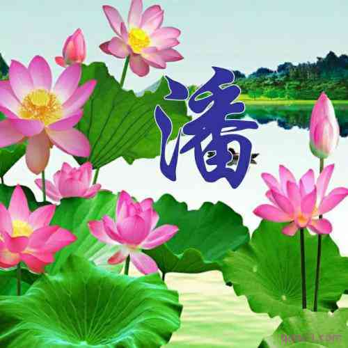怎么设置有文字的微信头像 第4张