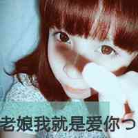 文字头像模板 第4张