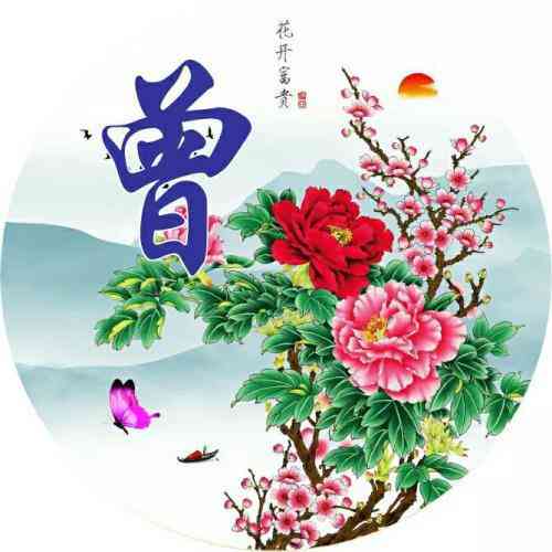 微信拍拍别人头像后面显示文字 第3张
