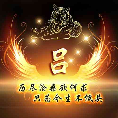 微信拍拍别人头像后面显示文字 第4张