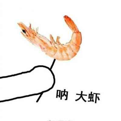 文字头像在线 第4张