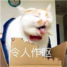 头像大全带文字的微信头像 第7张