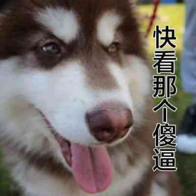 张姓头像带感情文字 第2张