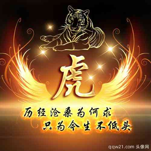 文字微信头像人生感悟 第1张