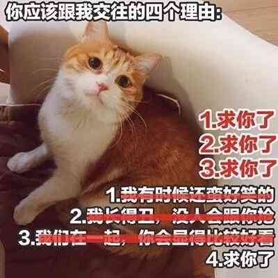 汤姆猫头像带文字 第6张