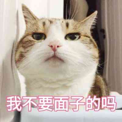 汤姆猫头像带文字 第7张