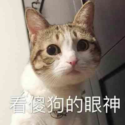 沙雕女头像ins高级质感 第7张