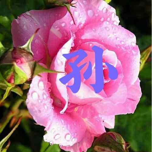 女士微信头像招财好运 第9张