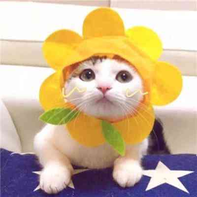 汤姆猫杰瑞鼠情侣头像 第4张