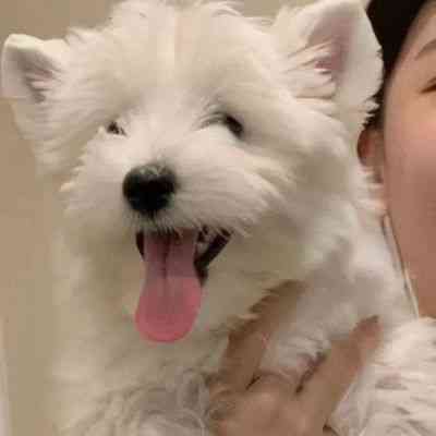 情侣头像丧系真人 第7张