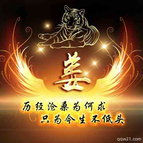 中年男头像微信头像 第13张