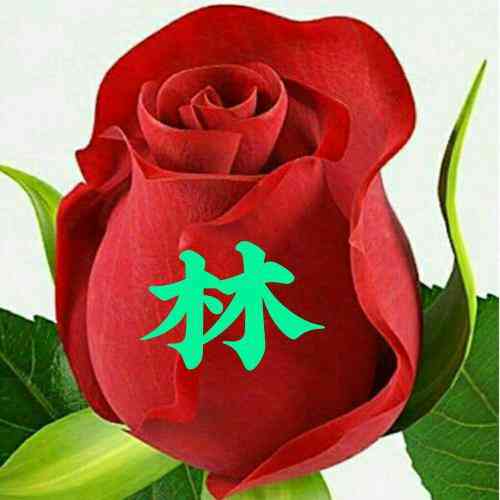 微信头像拍拍设置文字 第1张