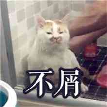 微信头像拍拍设置文字 第5张