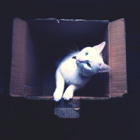 小猫咪头像卡通图片 第2张