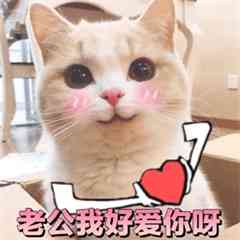 巨丑男搞笑头像 第11张