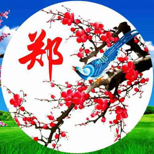 怎么给头像加文字 第3张