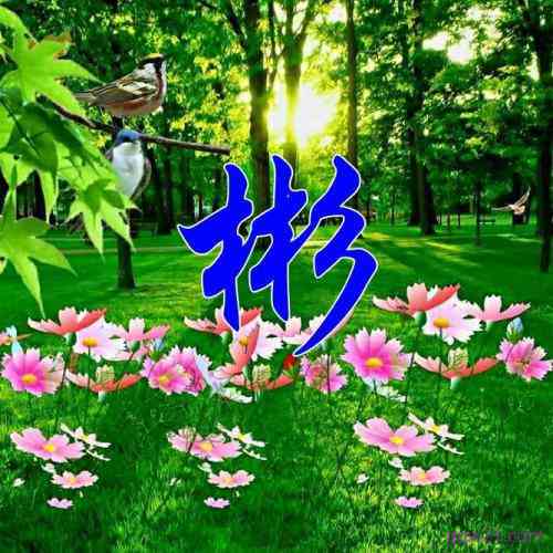 文字姓氏头像 第7张
