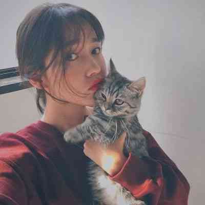 美女猫咪微信头像图片大全 第3张