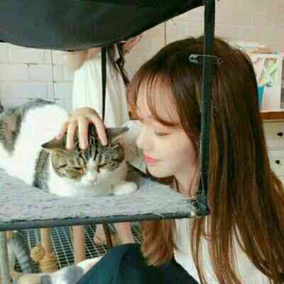 美女猫咪微信头像图片大全 第6张