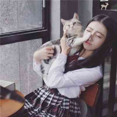 美女猫咪微信头像图片大全 第7张
